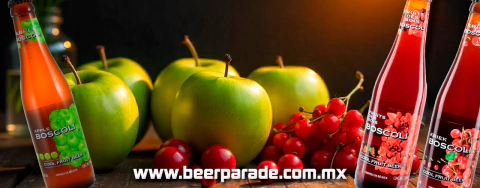 Imagen del carrusel 6